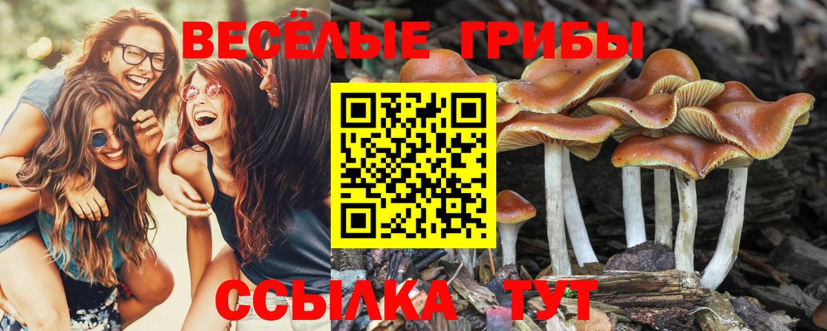 Псилоцибиновые грибы ЛСД  Вход с VPN  Конаково 